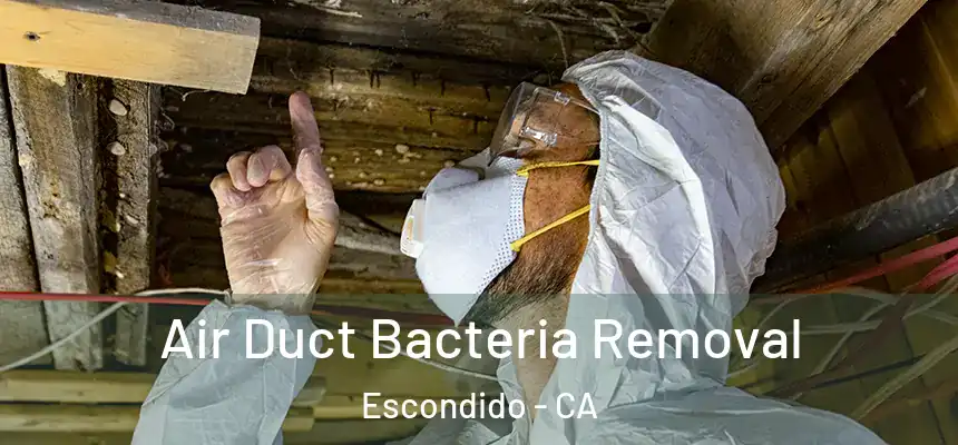  Air Duct Bacteria Removal Escondido - CA