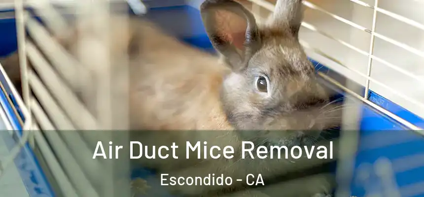  Air Duct Mice Removal Escondido - CA