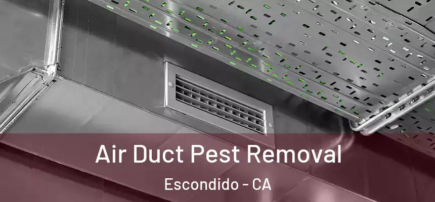  Air Duct Pest Removal Escondido - CA