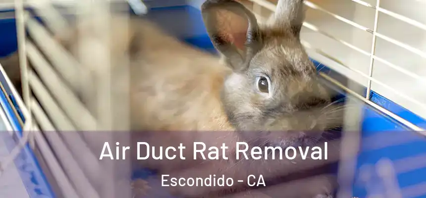  Air Duct Rat Removal Escondido - CA