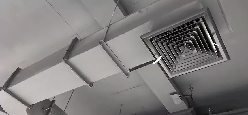 Restorative Allergy Relief Vent Cleaning – Coil, Blower & Housing Detail in Escondido