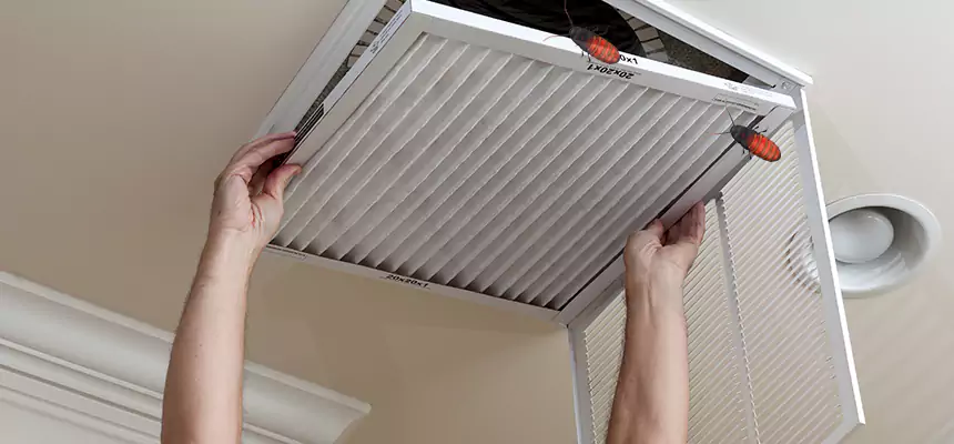 Our Insect Removal from Air Ducts Services in Escondido, CA