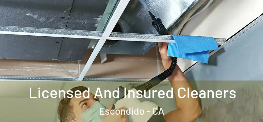 Licensed And Insured Cleaners Escondido - CA