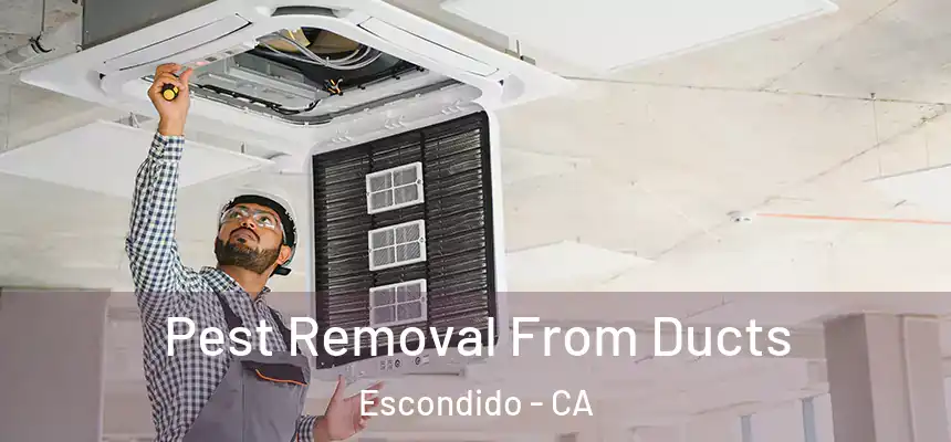 Pest Removal From Ducts Escondido - CA