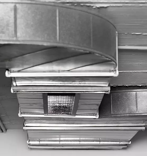 Professional Air Duct Pest Removal in Escondido, CA