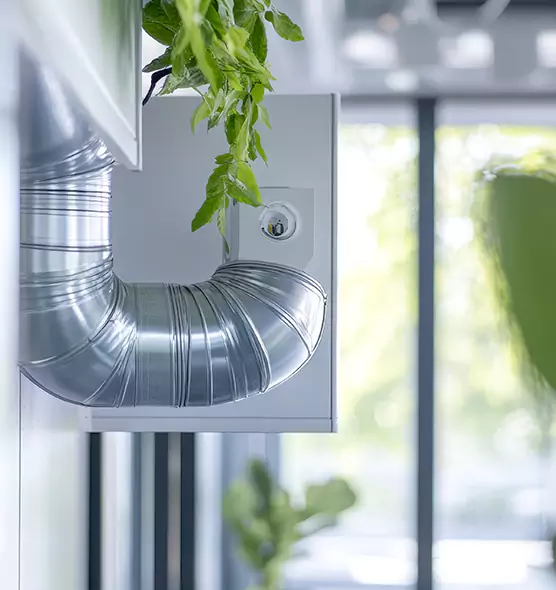 Professional Eco-Friendly Duct Cleaning Services in Escondido, CA