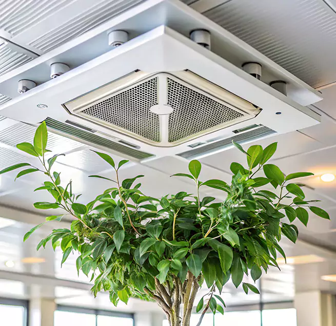 Why Homeowners & Businesses Trust Us in Escondido, CA?