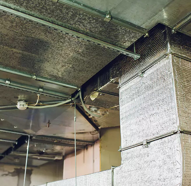 Why Homeowners & Businesses Trust Us in Escondido, CA?